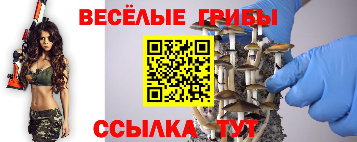 Галлюциногенные грибы прущие грибы  Вход с VPN  Рязань 